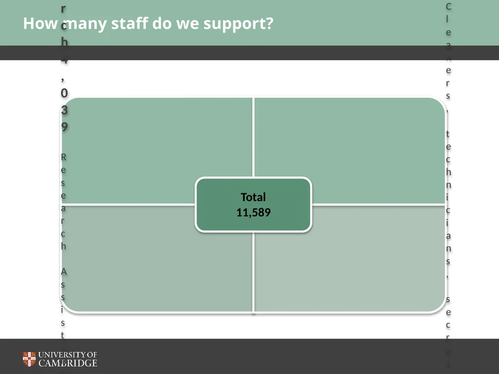 Human Resources division Emma Stone, Director of - slide 5 of 15