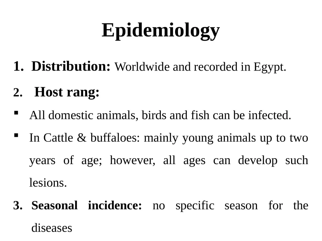 Papillomatosis (Warts) By Dr/ Marawan Elfky - slide 6 of 21