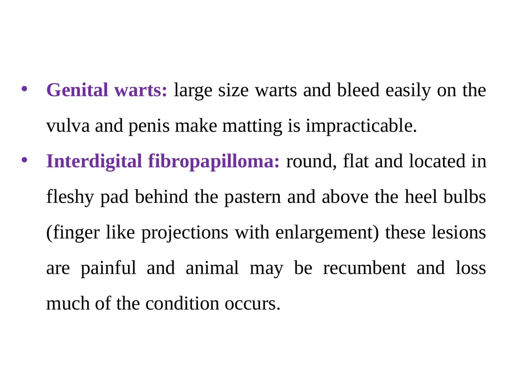 Papillomatosis (Warts) By Dr/ Marawan Elfky - slide 12 of 21