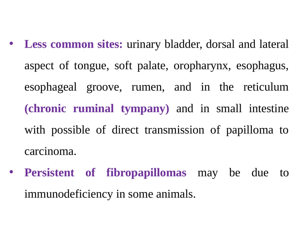 Papillomatosis (Warts) By Dr/ Marawan Elfky - slide 13 of 21