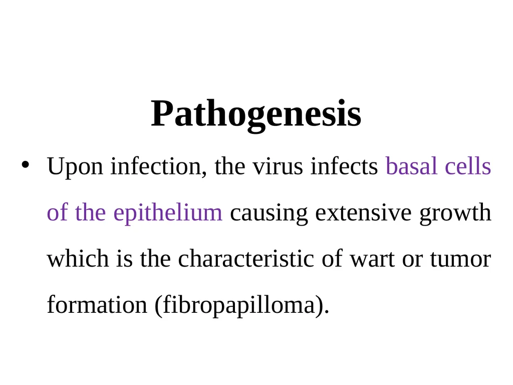 Papillomatosis (Warts) By Dr/ Marawan Elfky - slide 9 of 21