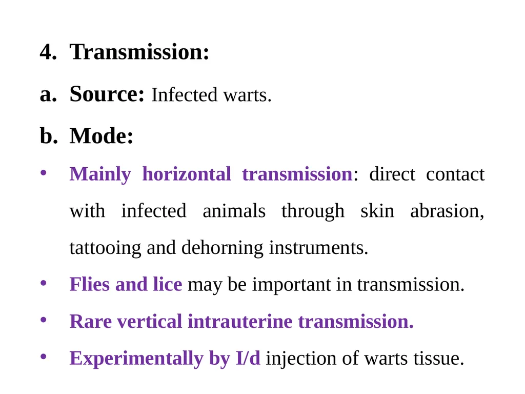 Papillomatosis (Warts) By Dr/ Marawan Elfky - slide 7 of 21