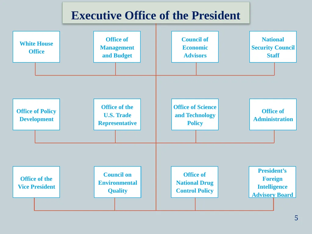 The White House Staff: General Observations The - slide 5 of 45