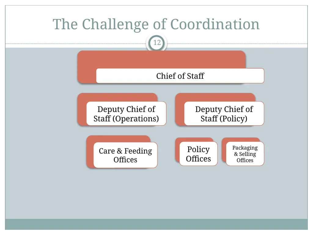 The White House Staff: General Observations The - slide 12 of 45