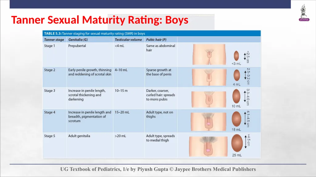 Adolescent Health Chapter 5 Definition and - slide 7 of 60