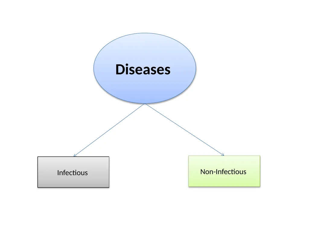 Infectious and epidemiological diseases Assistant. - slide 2 of 22