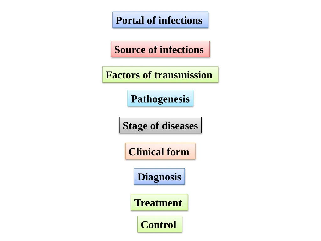 Infectious and epidemiological diseases Assistant. - slide 10 of 22