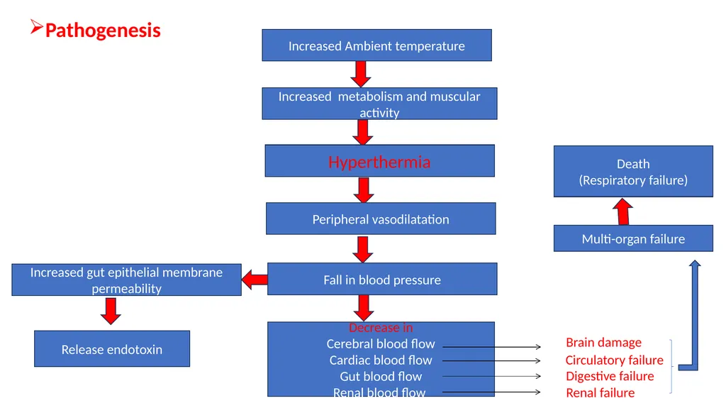Hyperthermia/Heat stoke/ Heat exhaustion Dr - slide 3 of 9