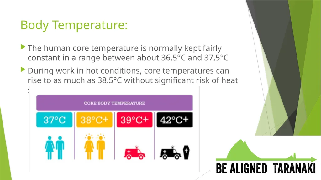 Heat Stress Body Temperature: The human core - slide 2 of 11