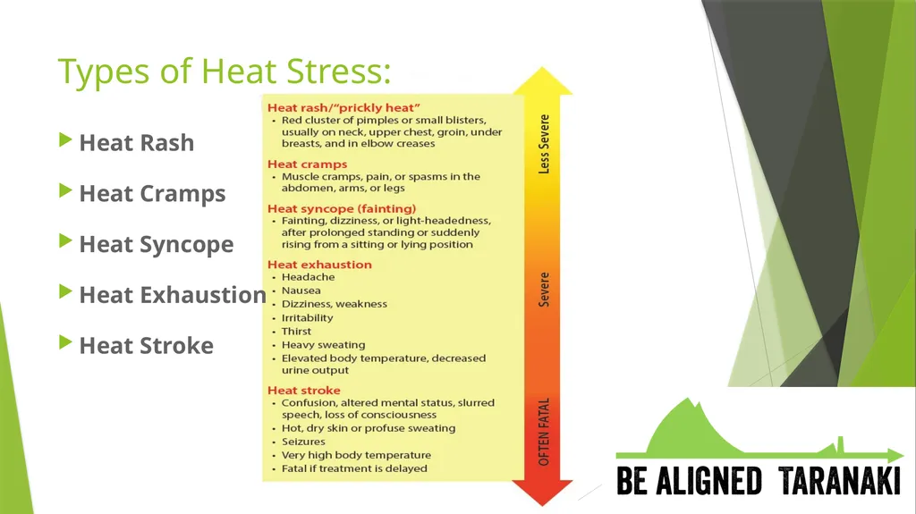 Heat Stress Body Temperature: The human core - slide 4 of 11