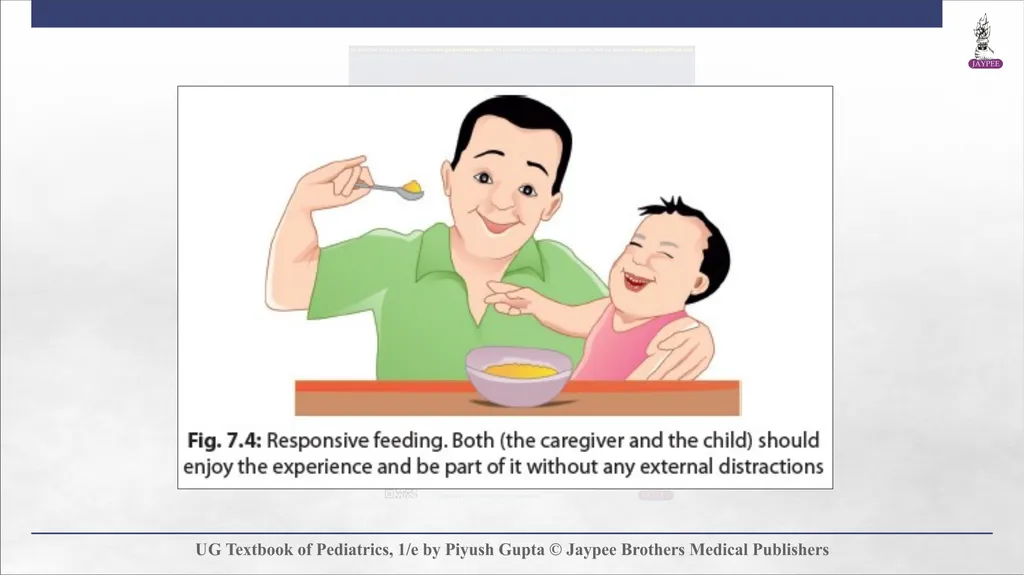 Complementary Feeding Chapter 7 DEFINITION - slide 22 of 35