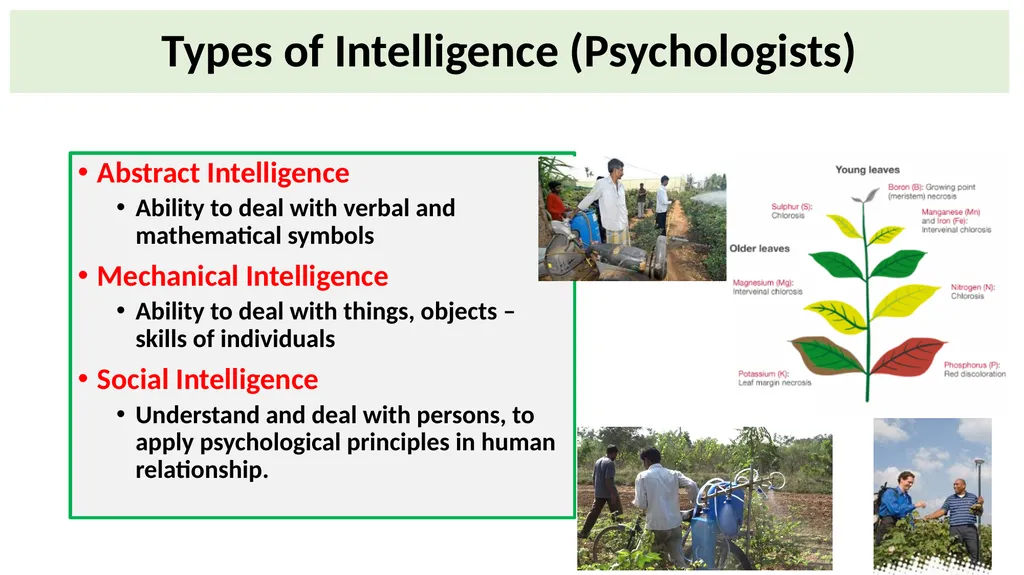 Educational Psychology Ganesamoorthi, S. Asst. - slide 28 of 101