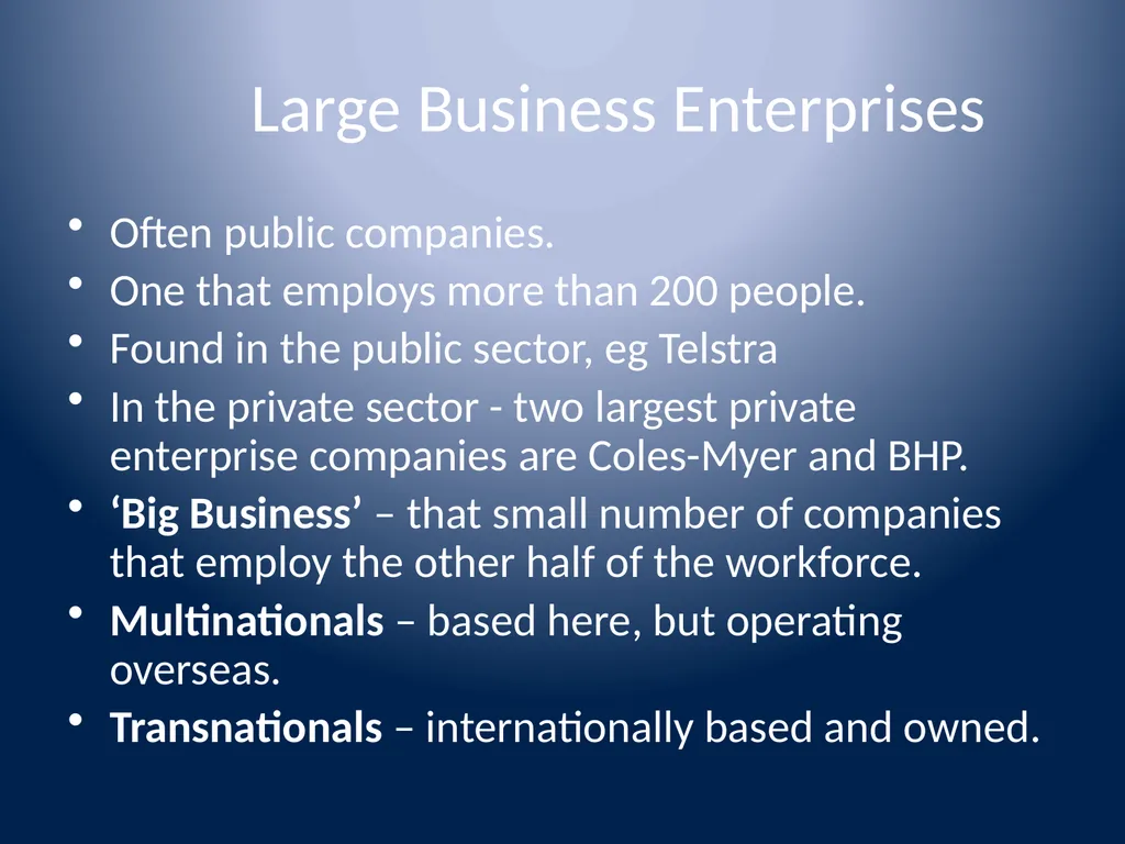 Types of Business Lesson 5 BUSINESS - slide 6 of 17