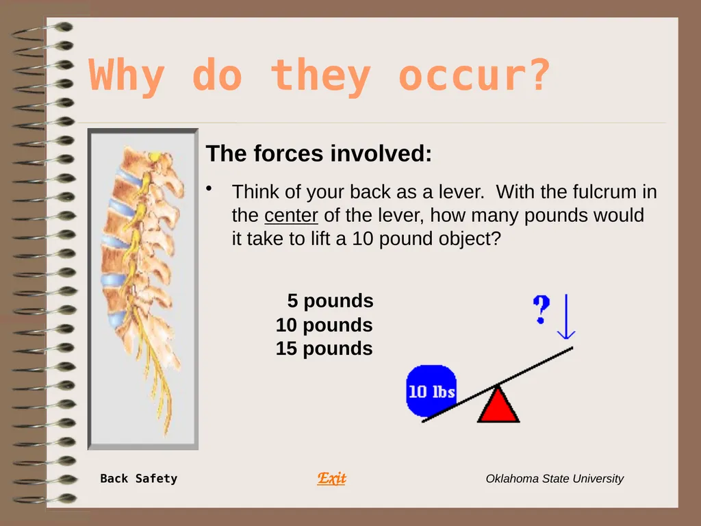 Presents … Environmental Health & Safety BACK - slide 10 of 48