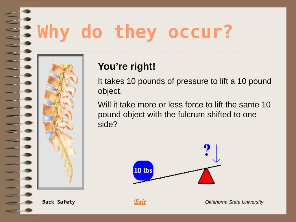 Presents … Environmental Health & Safety BACK - slide 11 of 48