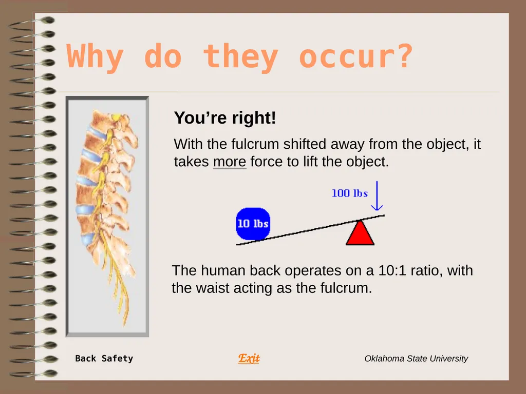 Presents … Environmental Health & Safety BACK - slide 12 of 48