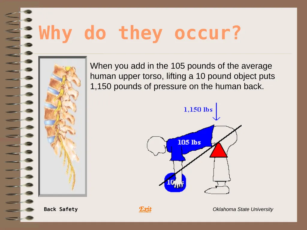 Presents … Environmental Health & Safety BACK - slide 13 of 48