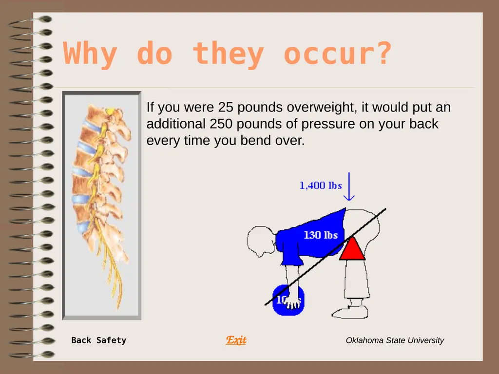 Presents … Environmental Health & Safety BACK - slide 14 of 48