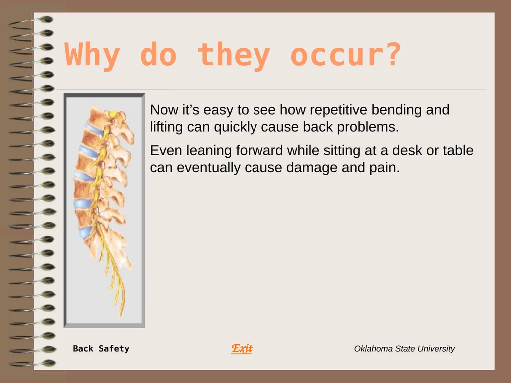 Presents … Environmental Health & Safety BACK - slide 15 of 48