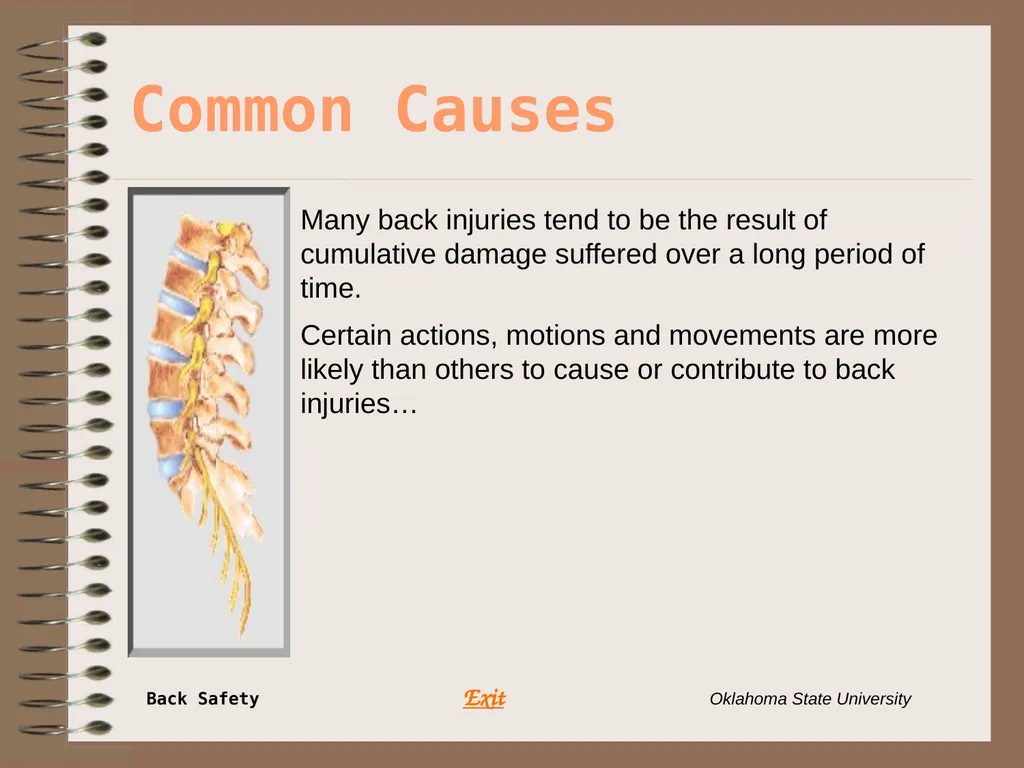 Presents … Environmental Health & Safety BACK - slide 21 of 48