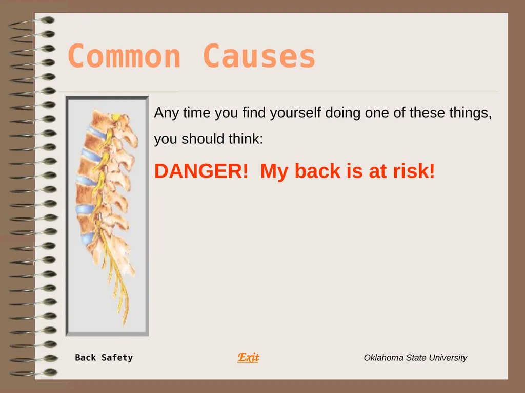 Presents … Environmental Health & Safety BACK - slide 22 of 48
