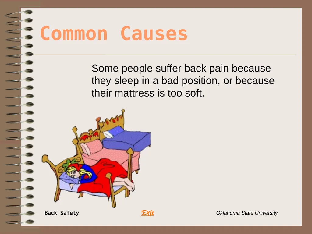 Presents … Environmental Health & Safety BACK - slide 30 of 48