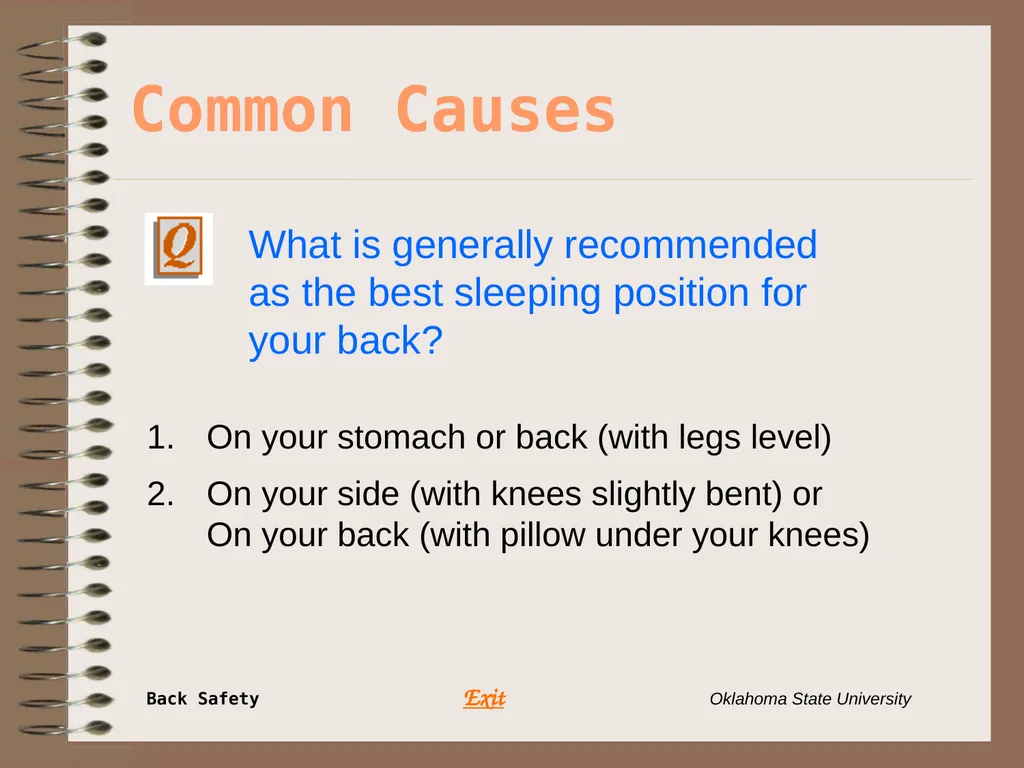 Presents … Environmental Health & Safety BACK - slide 31 of 48