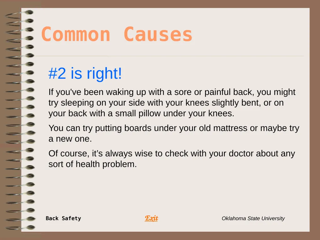 Presents … Environmental Health & Safety BACK - slide 32 of 48