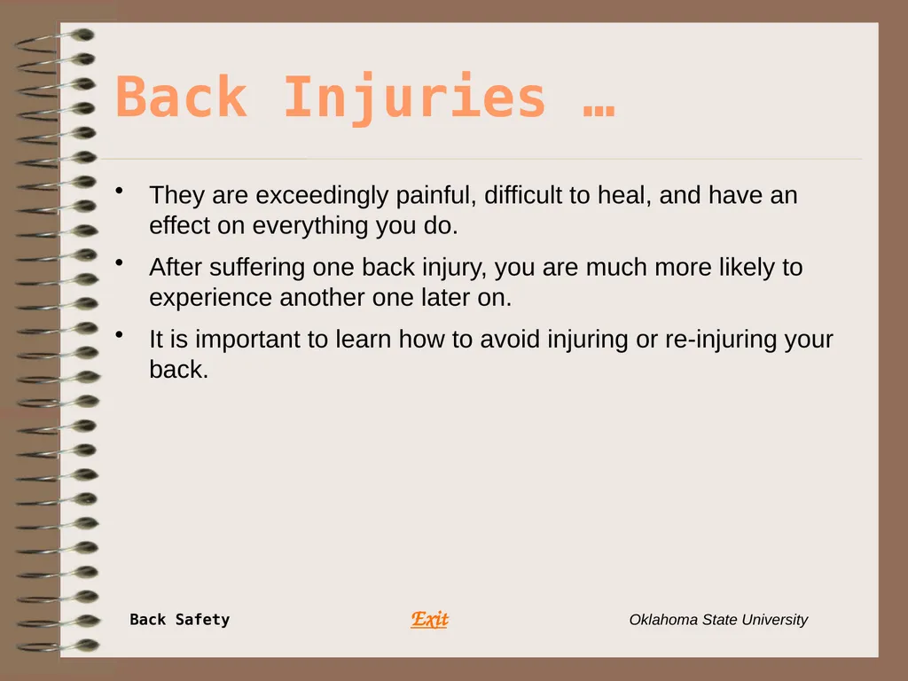 Presents … Environmental Health & Safety BACK - slide 4 of 48