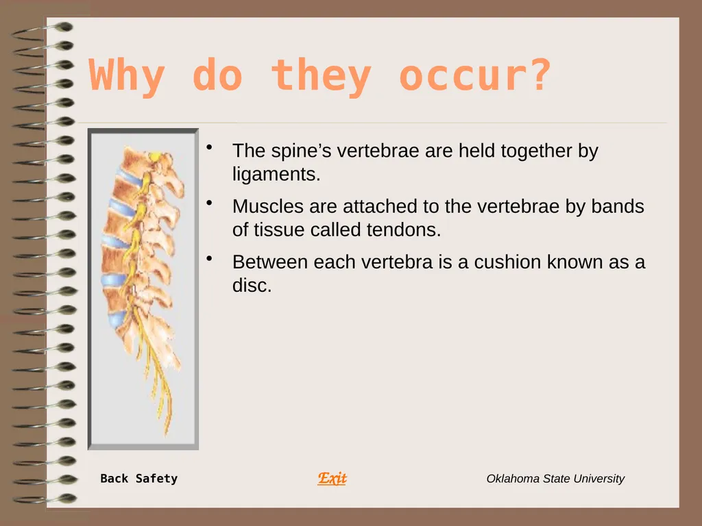 Presents … Environmental Health & Safety BACK - slide 6 of 48