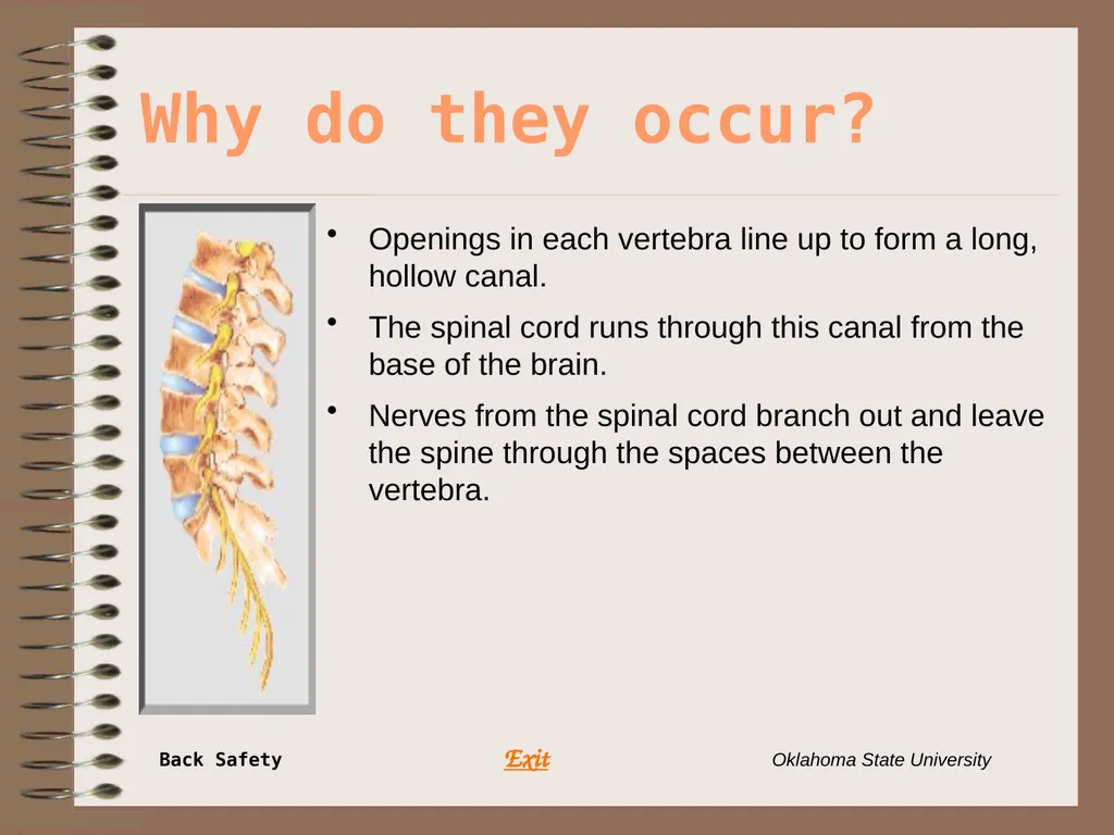 Presents … Environmental Health & Safety BACK - slide 7 of 48