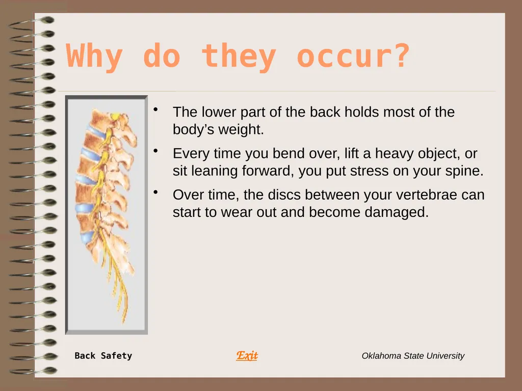 Presents … Environmental Health & Safety BACK - slide 8 of 48
