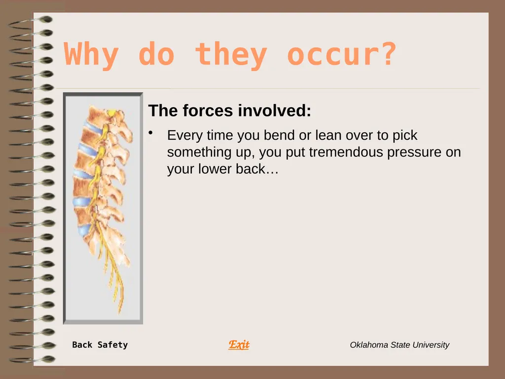 Presents … Environmental Health & Safety BACK - slide 9 of 48