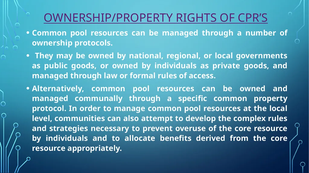 COMMON PROPERTY RESOURCES Prepared by ANINDITA - slide 5 of 7