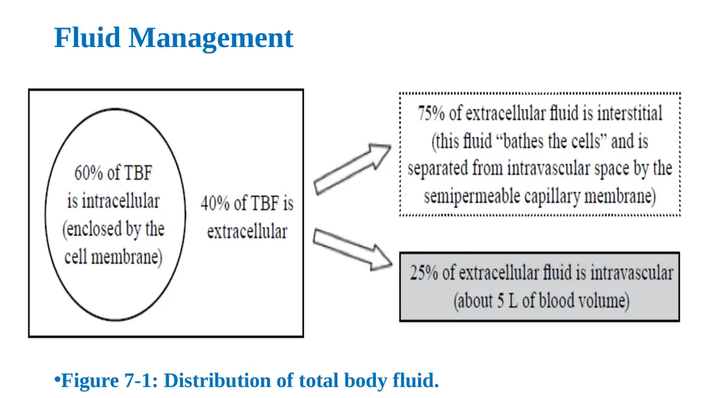 Pediatric Fluid and Electrolytes Dr. Haider Raheem - slide 2 of 21