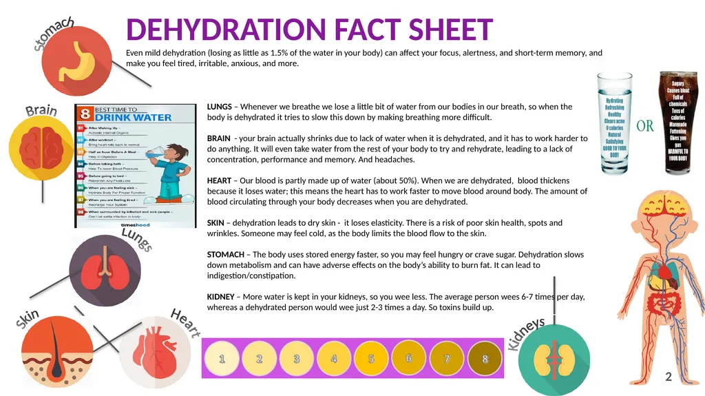 The Importance of Hydration Learning Intention: - slide 2 of 3