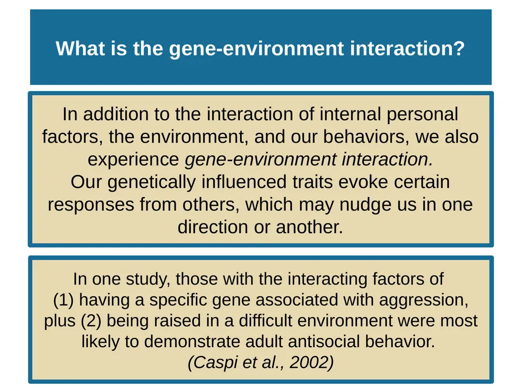 Unit 10 Personality Module 58 Social-Cognitive - slide 12 of 19