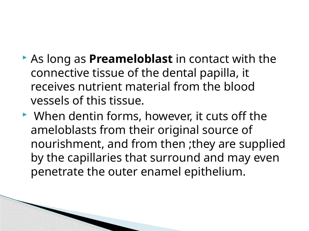 AMELOGENESIS According to their function, the life - slide 11 of 48
