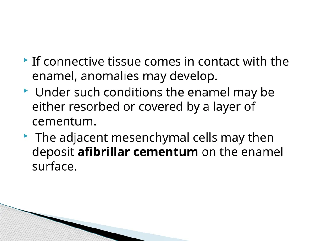 AMELOGENESIS According to their function, the life - slide 21 of 48