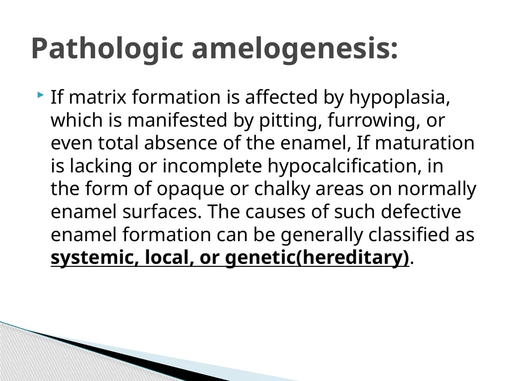 AMELOGENESIS According to their function, the life - slide 44 of 48