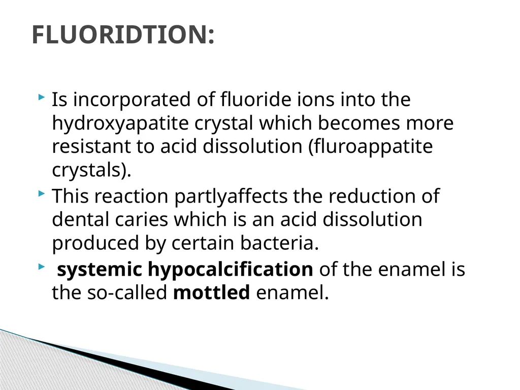AMELOGENESIS According to their function, the life - slide 40 of 48