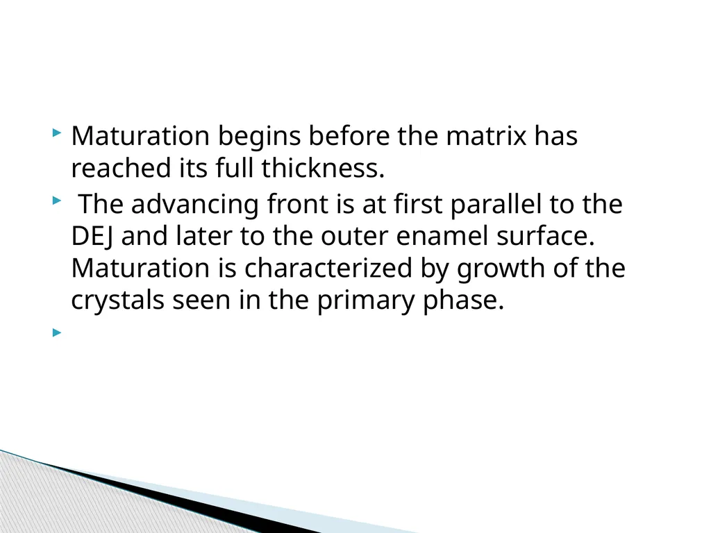 AMELOGENESIS According to their function, the life - slide 33 of 48