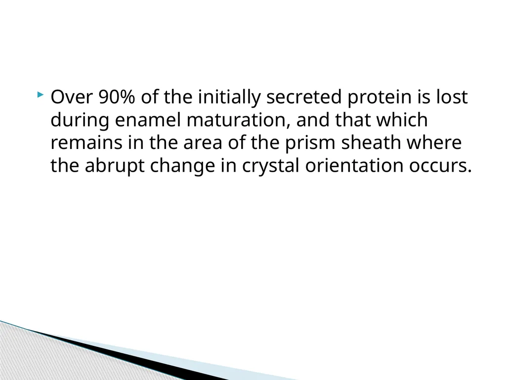 AMELOGENESIS According to their function, the life - slide 30 of 48