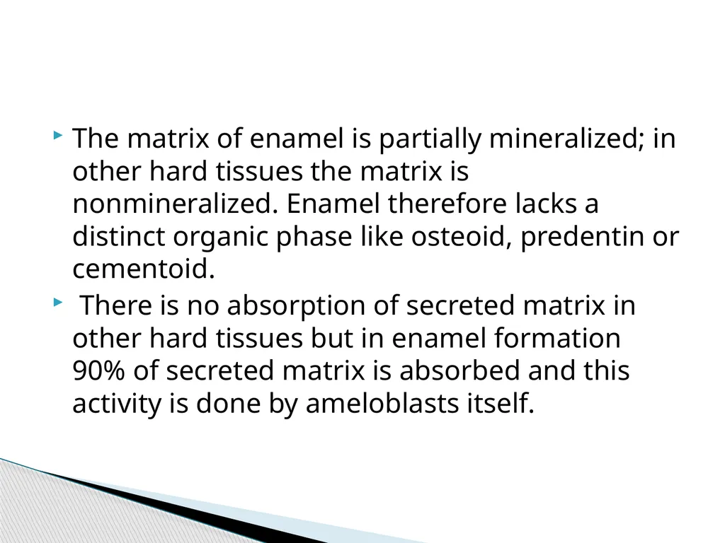 AMELOGENESIS According to their function, the life - slide 35 of 48