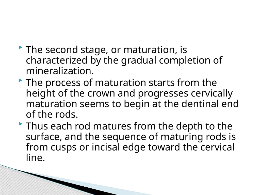 AMELOGENESIS According to their function, the life - slide 32 of 48
