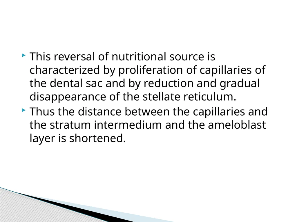 AMELOGENESIS According to their function, the life - slide 13 of 48