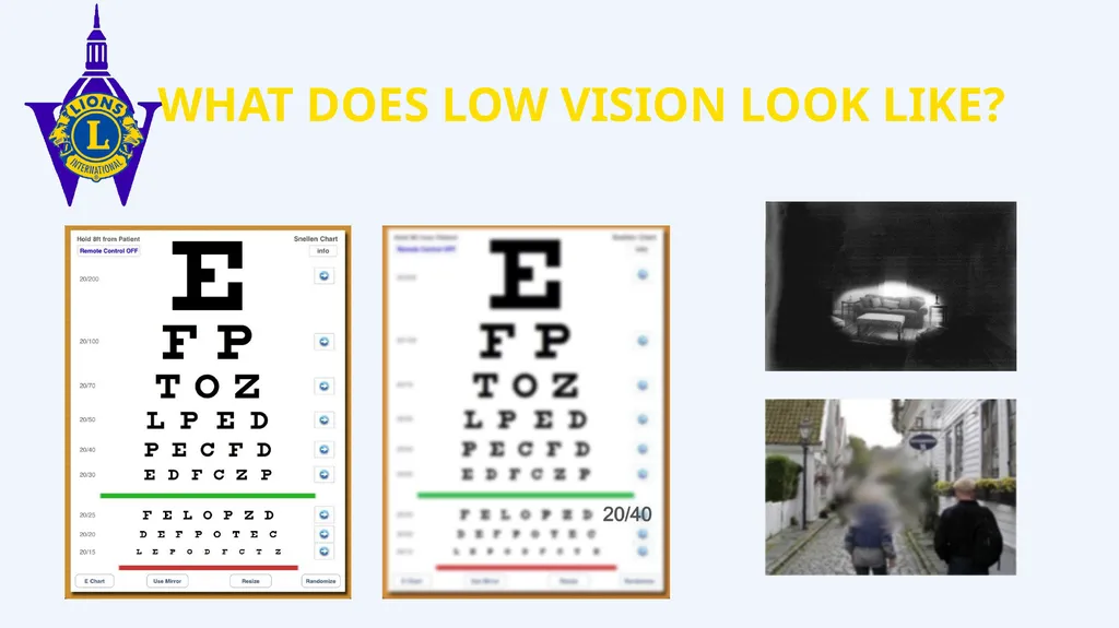 Lions Vision Research Foundation Multiple District - slide 3 of 14