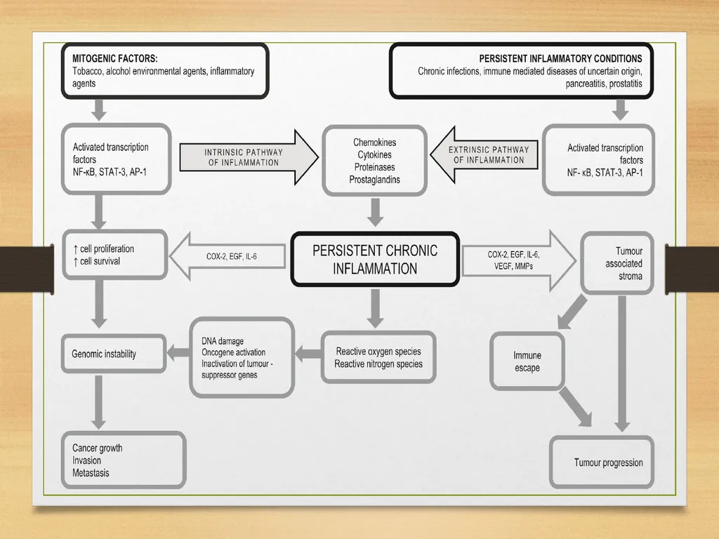 Role of Inflammation in Oral cancer - slide 12 of 35