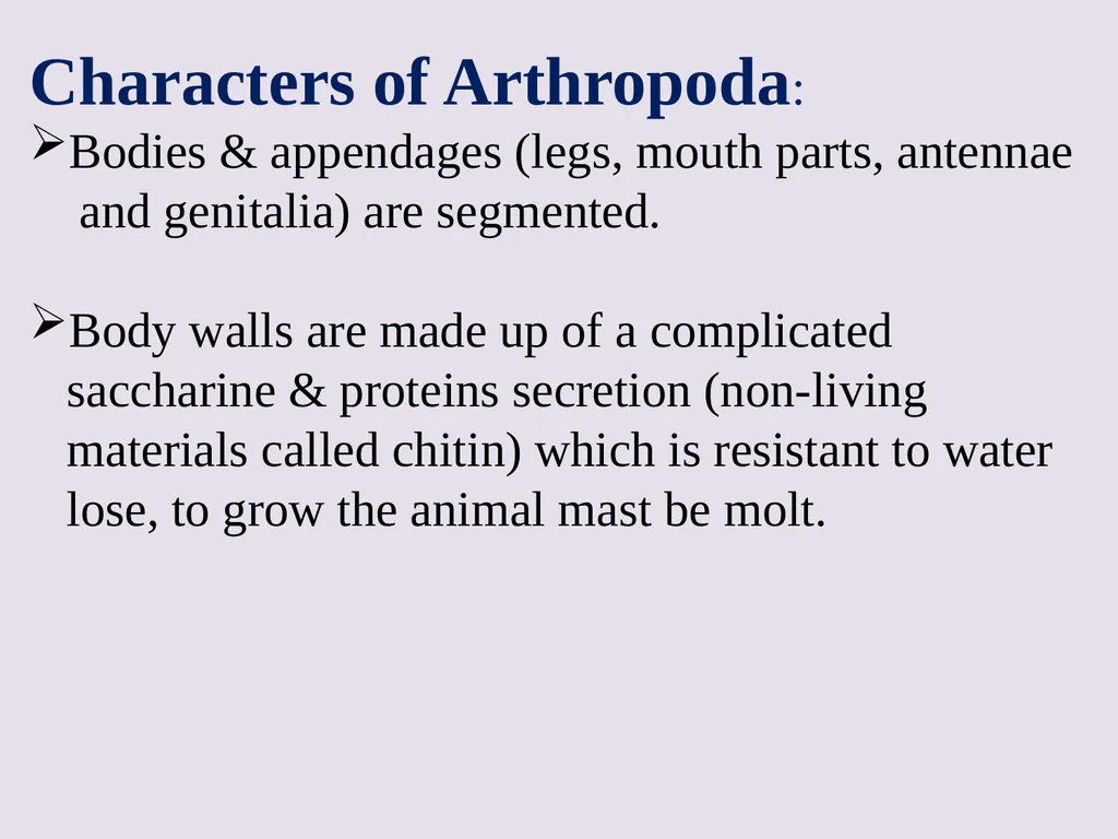 Phylum: Arthropoda Lab 18 introduction Characters - slide 3 of 19