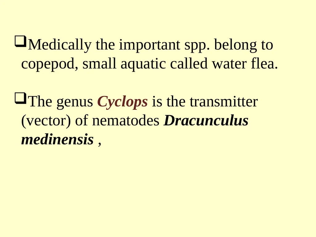 Phylum: Arthropoda Lab 18 introduction Characters - slide 12 of 19